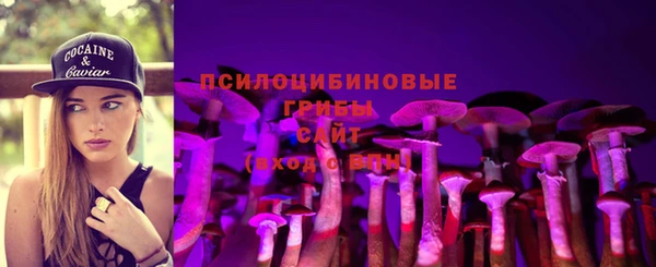 jwh Белокуриха