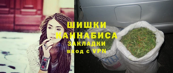 ГАЛЛЮЦИНОГЕННЫЕ ГРИБЫ Балахна